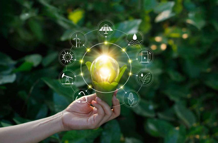 Sustentabilidade Digital: O Papel da ⁤Internet‌ das Coisas ‍na Eficiência Energética Doméstica